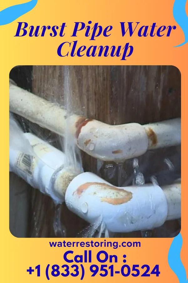 Burst Pipe Water Cleanup in Silverton, OH