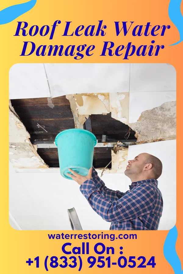 Roof Leak Water Damage Repair in Silverton, OH