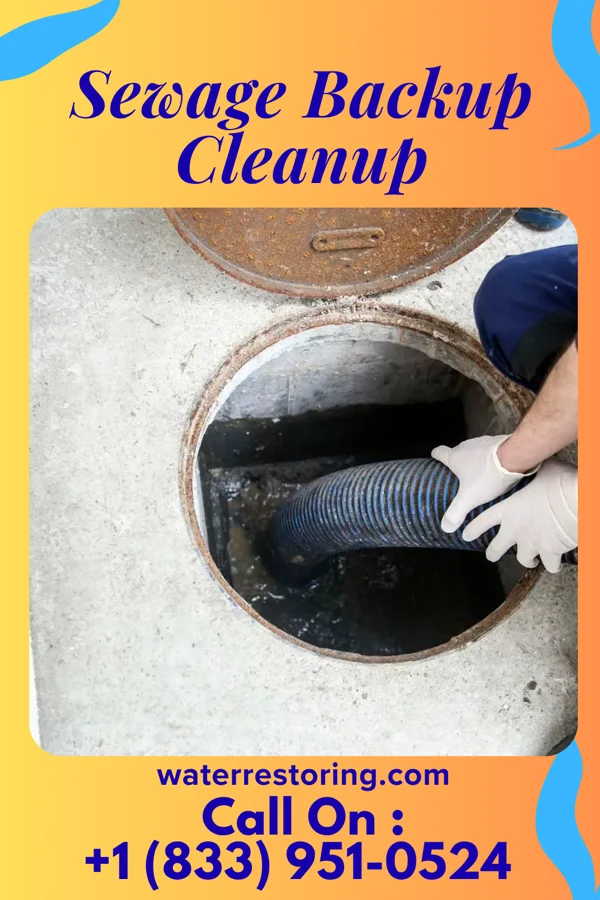Sewage Backup Cleanup in Silverton, OH