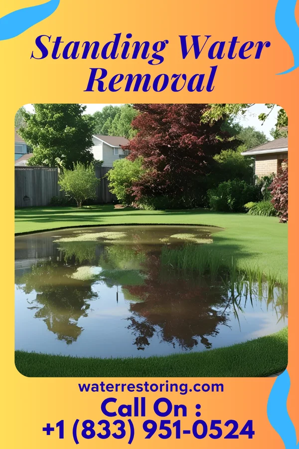 Standing Water Removal in Silverton, OH